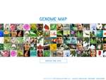 GENOME MAP