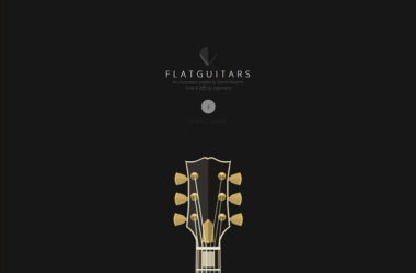 FlatGuitars